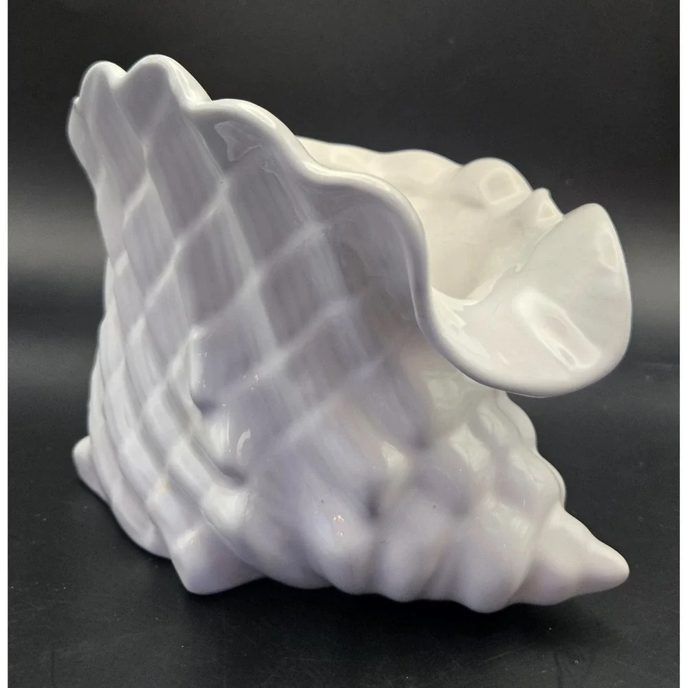 Pereias rare conch